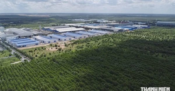 Đề xuất tạm dừng xem xét 2 cụm công nghiệp ở TP.HCM để rà soát quy hoạch