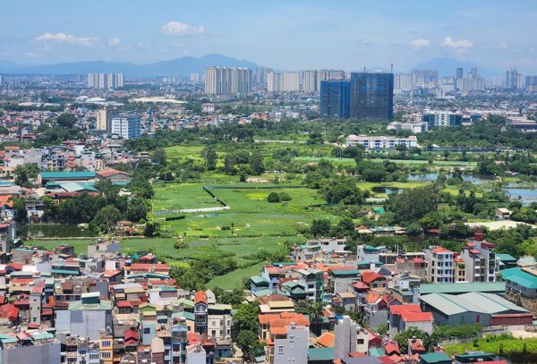 Đề xuất tính lại tiền sử dụng đất, cấp sổ đỏ cho đất có vi phạm