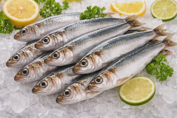 Đi chợ mua loại cá "hàng đầu về dinh dưỡng", giá chỉ 40.000 đồng/kg
