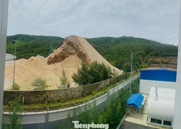 Di chuyển bãi gỗ dăm cạnh kho xăng dầu, khí hóa lỏng ở Hà Tĩnh