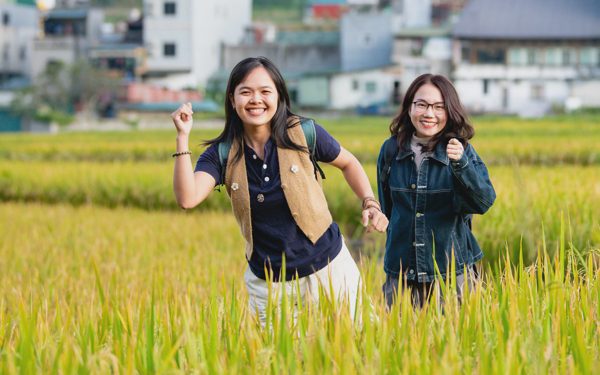 Đi Hà Giang 4 lần mới biết Đồng Văn có cánh đồng lúa đẹp như mơ