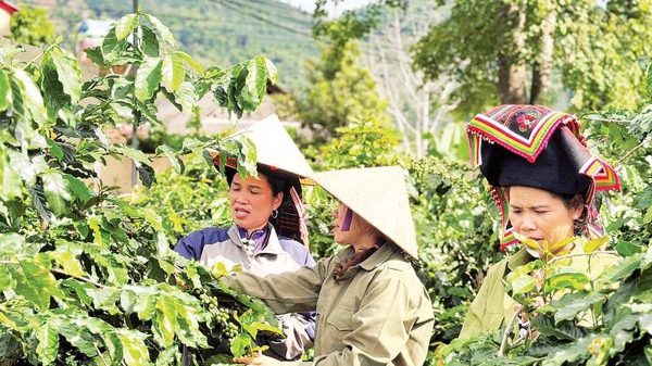 “Điểm tựa” giúp nông dân tự tin khởi nghiệp