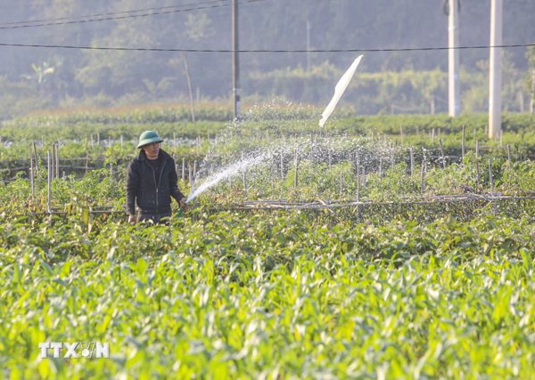 Điện Biên hỗ trợ hộ kinh doanh, hợp tác xã đầu tư mở rộng sản xuất