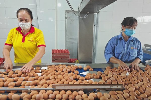 Diễn biến mới của công ty Ba Huân sau khi bị ngân hàng rao bán tài sản