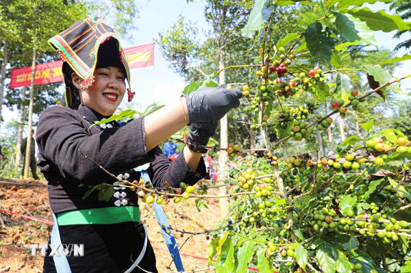 Điện Biên tăng tốc quý 4 với mục tiêu tăng trưởng gần 14%