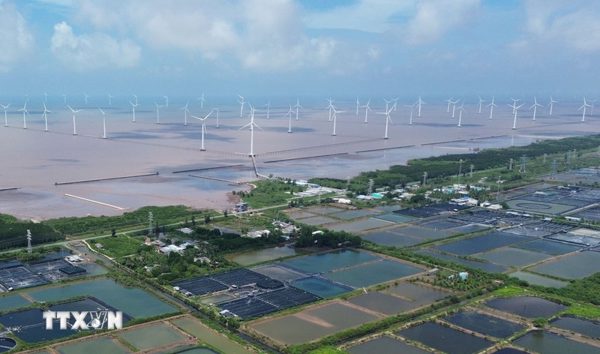 Điện gió ngoài khơi Việt Nam: Cơ hội hợp tác đầu tư với Na Uy