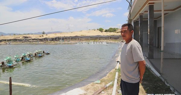 Điện hạt nhân Ninh Thuận trở lại đường đua năng lượng: Đồng thuận mở lối tương lai