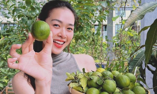 Diệp Bảo Ngọc hái trái cây vườn sân thượng
