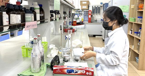 Điều chỉnh danh mục ngành được cấp học bổng 3,7-5,5 triệu đồng/tháng theo Nghị định 179