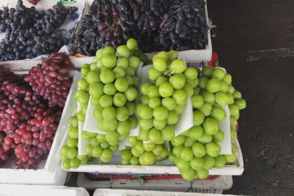 Điều gì khiến nho mẫu đơn Trung Quốc rớt thảm chỉ còn 40.000 đồng/kg?