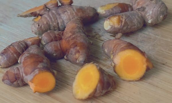Điều gì xảy ra với cơ thể khi ăn nghệ thường xuyên?