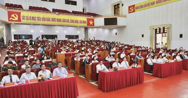Định danh giá trị sâm Việt: Giữa 'loạn' thị trường, tìm hướng đi cho sâm Lai Châu