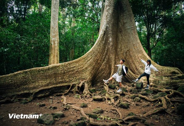 Định hình sản phẩm du lịch đặc trưng để tạo sức hút cho Đồng Nai