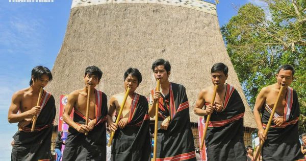 Đinh tút, thế giới khác của đại ngàn