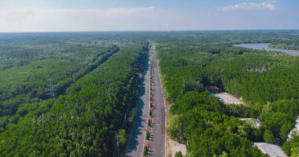 DN của tỷ phú Phạm Nhật Vượng đang xây nút giao gần 3.000 tỷ đồng ở Cần Giờ: Điểm đầu của tuyến đường xuyên rừng ngập mặn dự kiến mở lên 10 làn, nối tới đại đô thị lấn biển 2.870ha