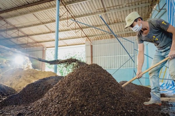 Doanh nghiệp biến vỏ đậu xanh thành trà, biến phế phẩm thành tiền