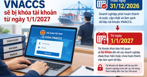 Doanh nghiệp chưa làm sạch dữ liệu hải quan sẽ bị khóa tài khoản từ ngày 1.1.2027