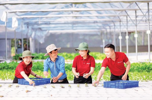 Doanh nghiệp lớn vốn phải dài