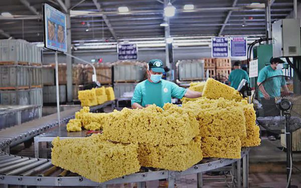 Doanh nghiệp ngành cao su lãi lớn nhờ đền bù đất