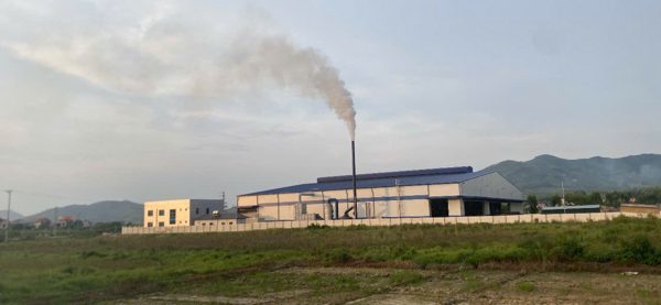 Doanh nghiệp sản xuất viên nén gỗ bị phạt 180 triệu đồng vì vi phạm môi trường