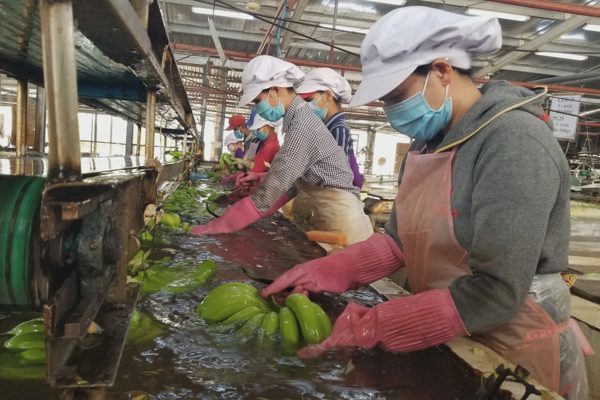 Doanh nghiệp UAE xây trung tâm phân phối riêng, đón nông sản Việt