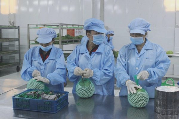 Doanh nghiệp Việt có bị tác động khi Fed tăng lãi suất?