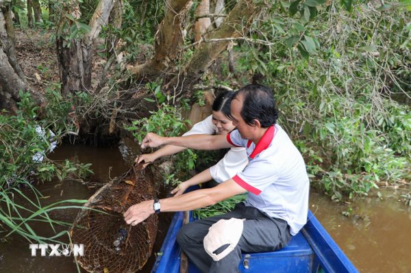 Độc đáo trải nghiệm các hoạt động du lịch mùa nước nổi ở Đồng Tháp