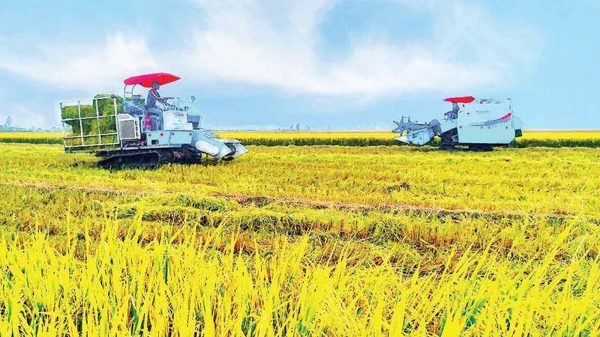 Đòn bẩy giúp kinh tế tập thể bứt phá
