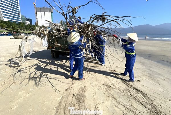 Dọn gần 100 tấn rác trên bãi biển Đà Nẵng