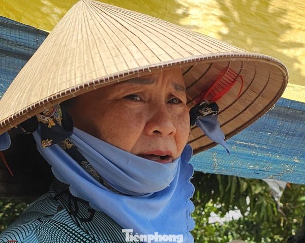 Đồng bằng sông Cửu Long 'teo tóp' trước ‘hà bá’