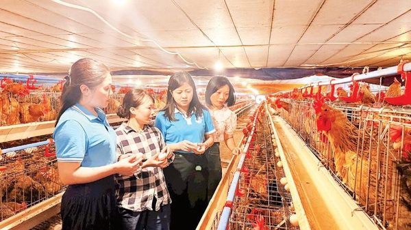 Đồng hành cùng chị em phụ nữ khởi nghiệp