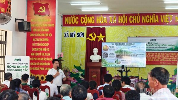 Đồng hành cùng nông dân vượt khó, khôi phục vùng mía nguyên liệu