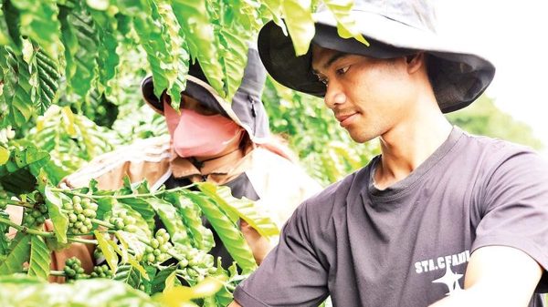 Động lực giúp thanh niên dân tộc thiểu số vươn lên