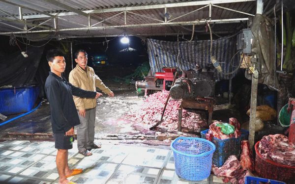 Đồng Nai bắt 9 người vụ thu mua, giết mổ 400 tấn heo bệnh bán làm thực phẩm