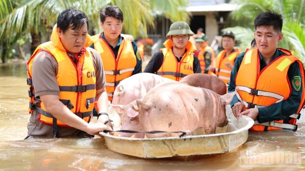Đồng Nai chủ động ứng phó với mưa lớn, ngập úng và sạt lở đất