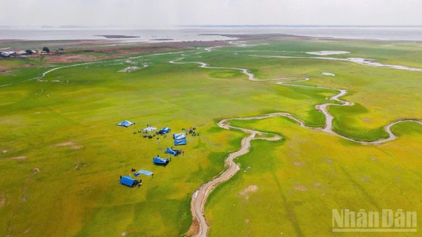 Đồng Nai: Kinh nghiệm tiên phong về đích xã nông thôn mới ở Thống Nhất