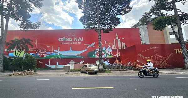 Đồng Nai 'vào mùa' đấu giá đất