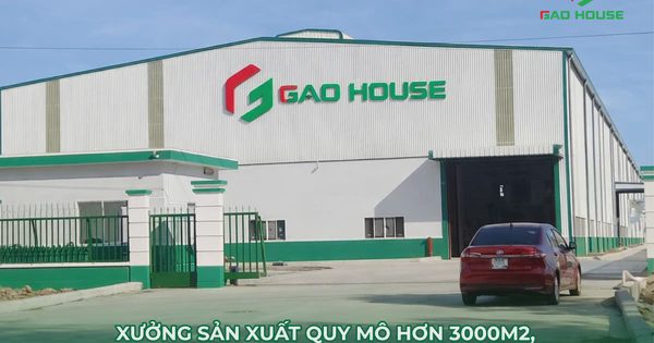 Đồng phục Gạo House: Giải pháp chuyên nghiệp cho diện mạo mọi doanh nghiệp