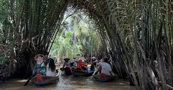 Đồng Tháp làm mới sản phẩm, nâng tầm du lịch đất sen hồng