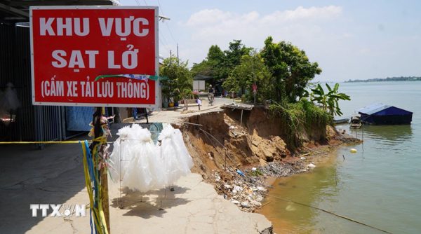 Đồng Tháp: Sạt lở bờ sông Tiền, nhà của hai hộ dân bị sụp hoàn toàn