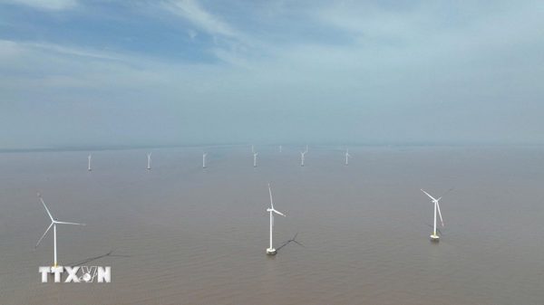 Đồng Tháp: Xác định đòn bẩy thúc đẩy kinh tế biển