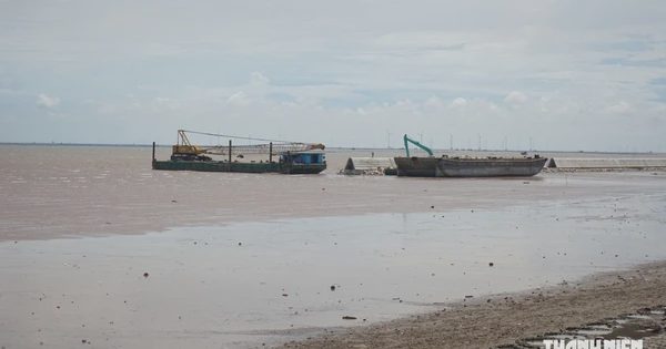 Đồng Tháp xây đê giảm sóng, chống xói lở biển Gò Công