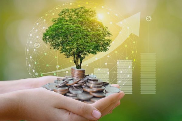 Dòng vốn xanh mở cửa: Doanh nghiệp cần gì để tiếp cận?
