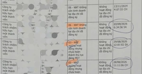 Đóng xong mã số thuế vẫn chật vật 'khai tử' doanh nghiệp