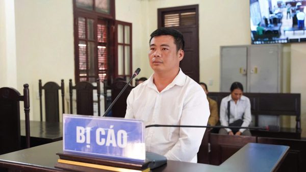 Đốt ong lấy mật làm cháy hơn 8ha rừng, người đàn ông bị phạt 2 năm tù