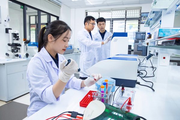 Đột phá chính sách đào tạo nhân lực chất lượng cao