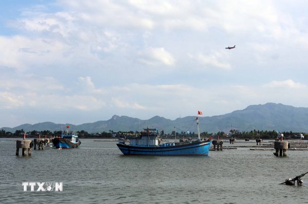 Đột phá hạ tầng nghề cá từ cụm công trình 420 tỷ đồng tại Đà Nẵng