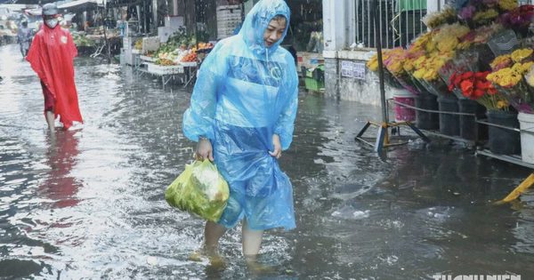 Dự báo thời tiết ngày 23.9: Mưa lớn 250 mm, 5 tỉnh nguy cơ lũ quét