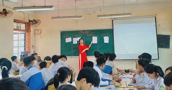 Dự kiến giảm hơn 61.000 giáo viên sau sắp xếp trường học
