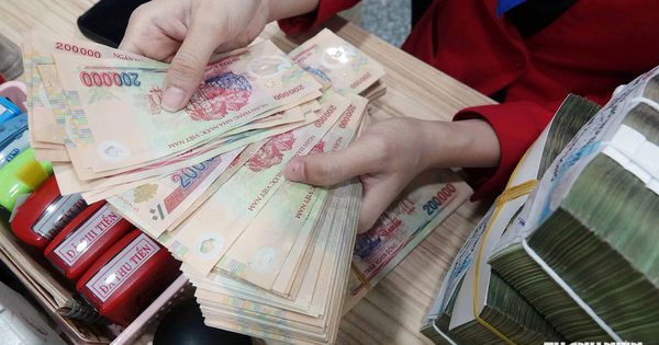 Dự kiến xóa lệ phí môn bài, tiền chậm nộp cho mã số thuế trạng thái 03, 06